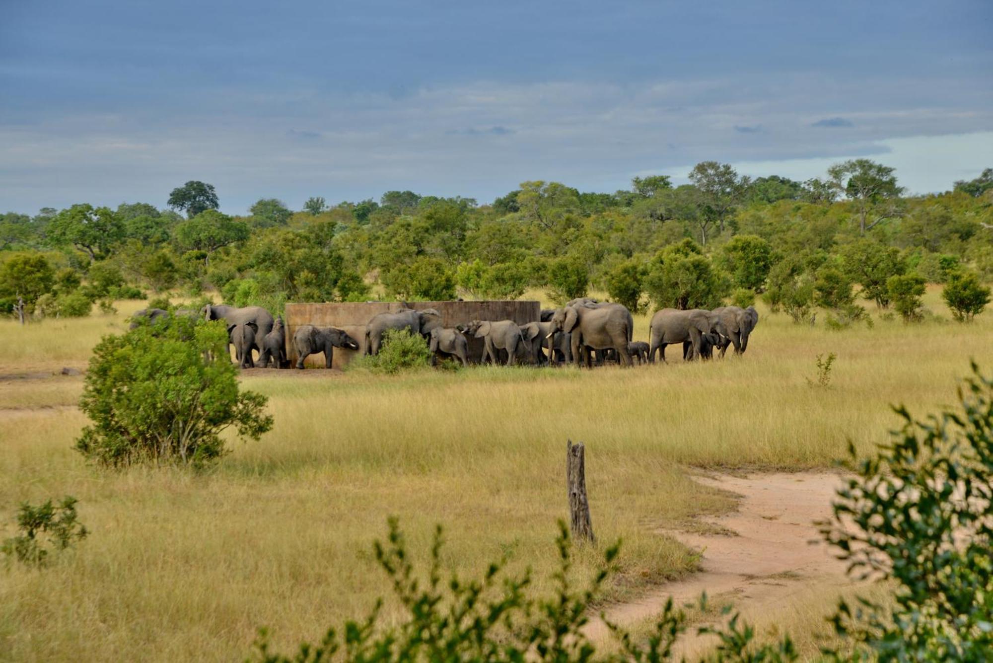 Rhino Walking Safaris Hotel Скукуза Екстериор снимка