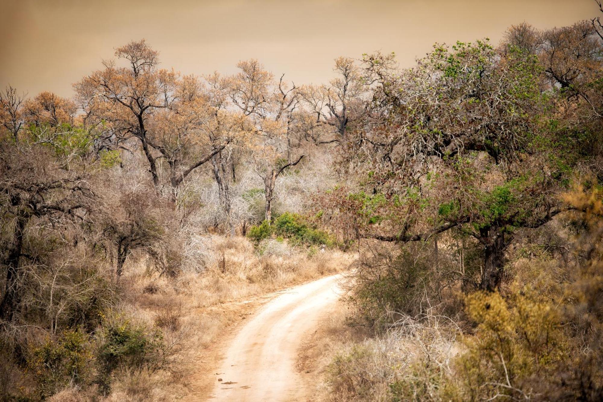 Rhino Walking Safaris Hotel Скукуза Екстериор снимка