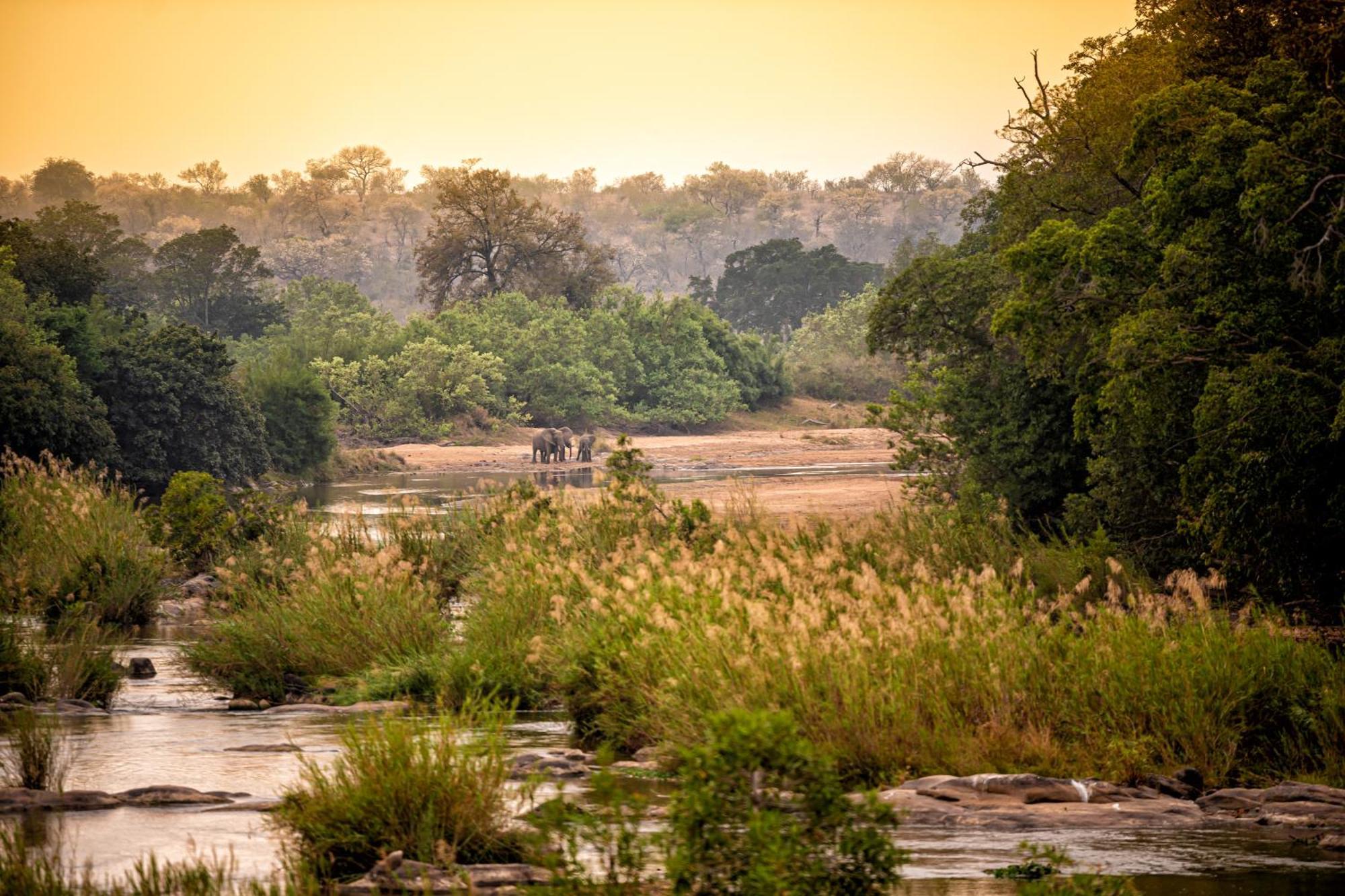 Rhino Walking Safaris Hotel Скукуза Екстериор снимка