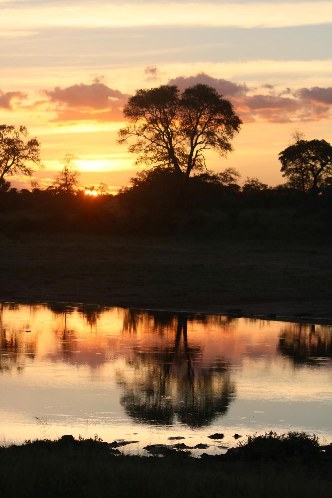 Rhino Walking Safaris Hotel Скукуза Екстериор снимка