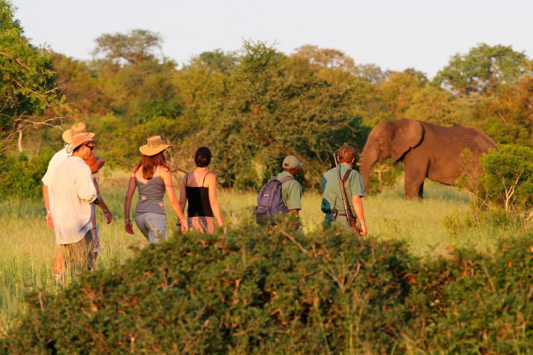 Rhino Walking Safaris Hotel Скукуза Екстериор снимка