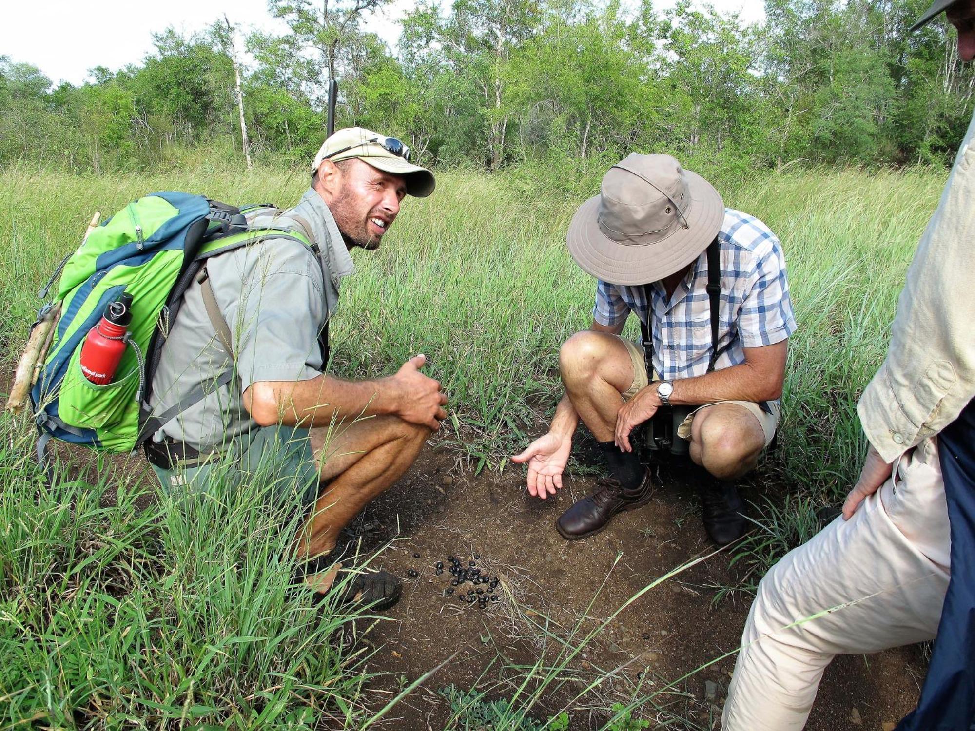 Rhino Walking Safaris Hotel Скукуза Екстериор снимка