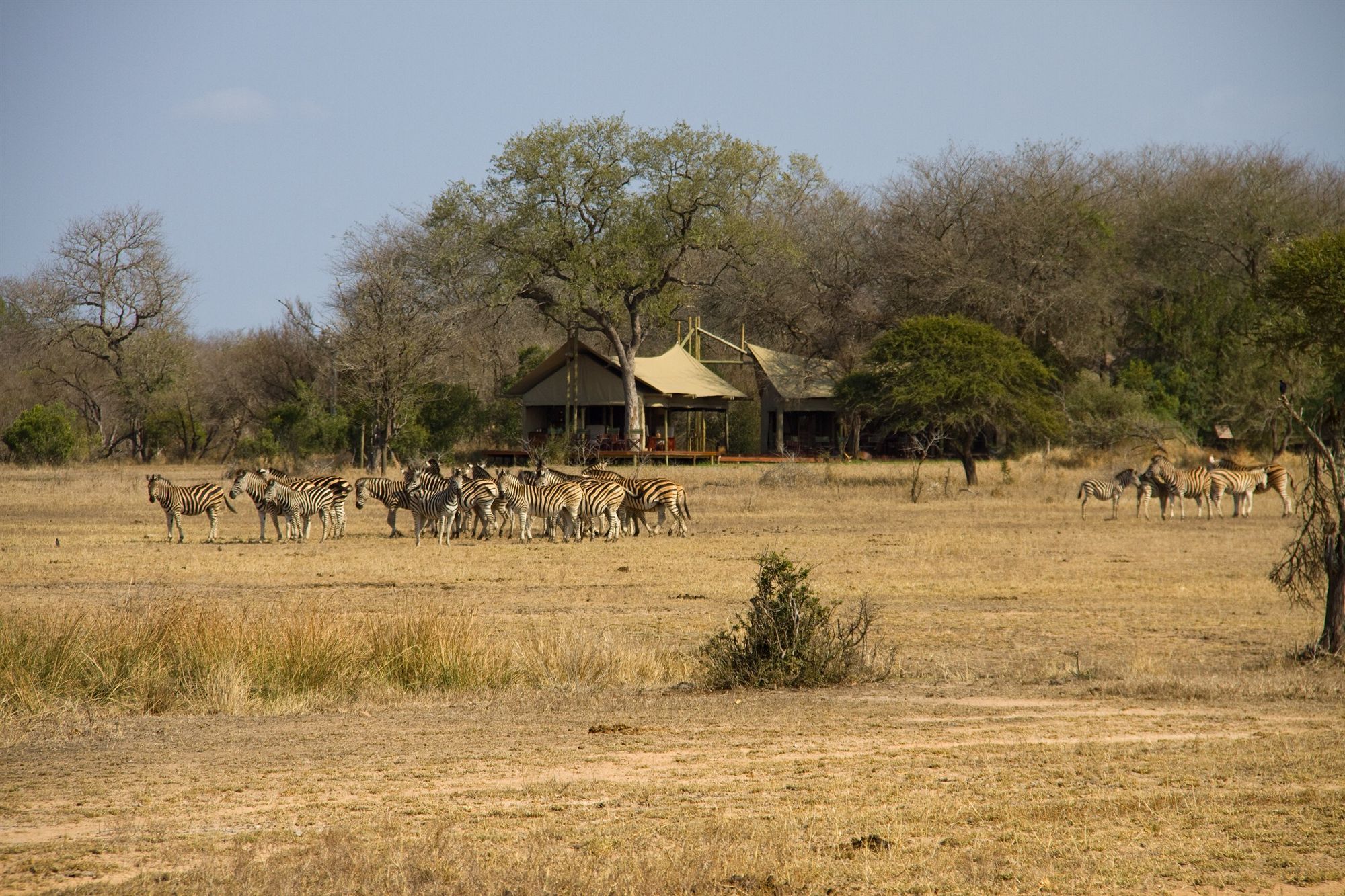 Rhino Walking Safaris Hotel Скукуза Екстериор снимка