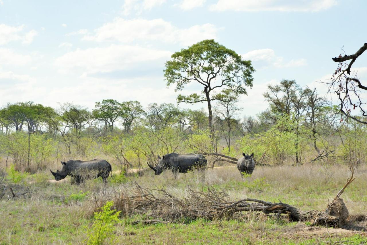 Rhino Walking Safaris Hotel Скукуза Екстериор снимка